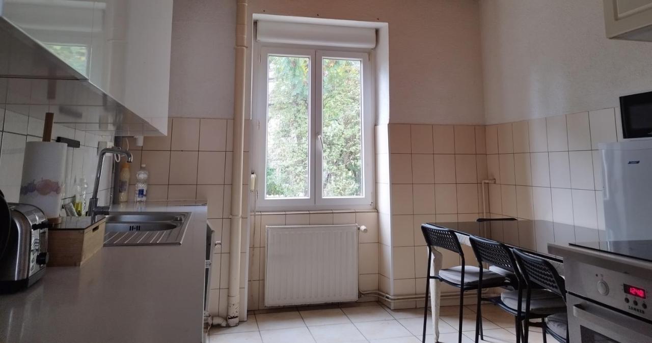 Le Thannois - Appartement 2 Chambres, Salon, Cuisine Equipee, Parking Et Wifi Gratuit Mulhouse Exterior photo