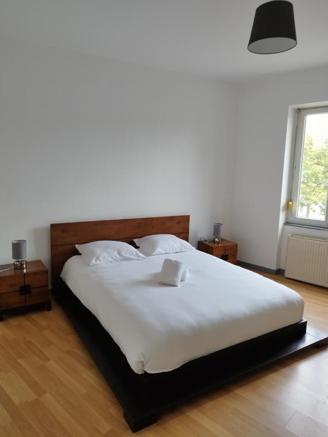 Le Thannois - Appartement 2 Chambres, Salon, Cuisine Equipee, Parking Et Wifi Gratuit Mulhouse Exterior photo
